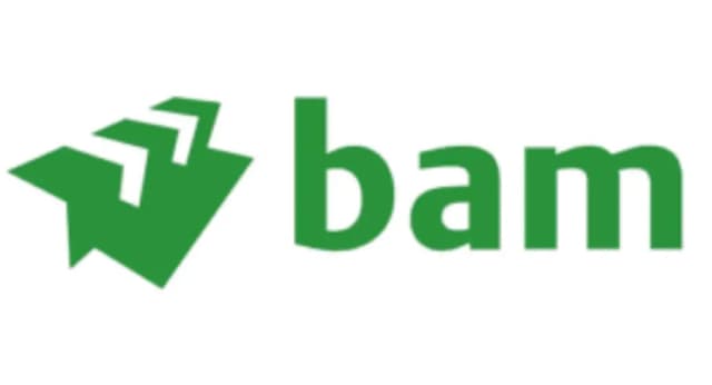 BAM